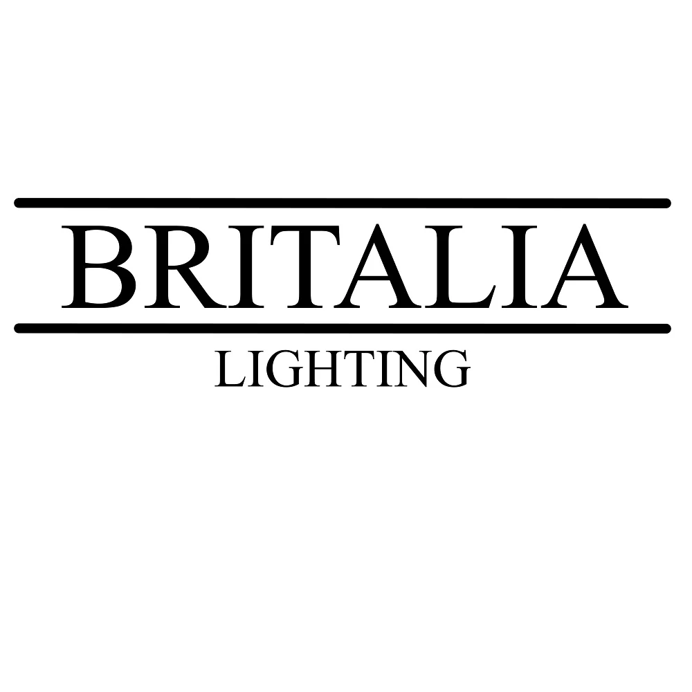 Polished Brass Vintage Switched Double Swing Arm Wall Light Bracket - Image 6